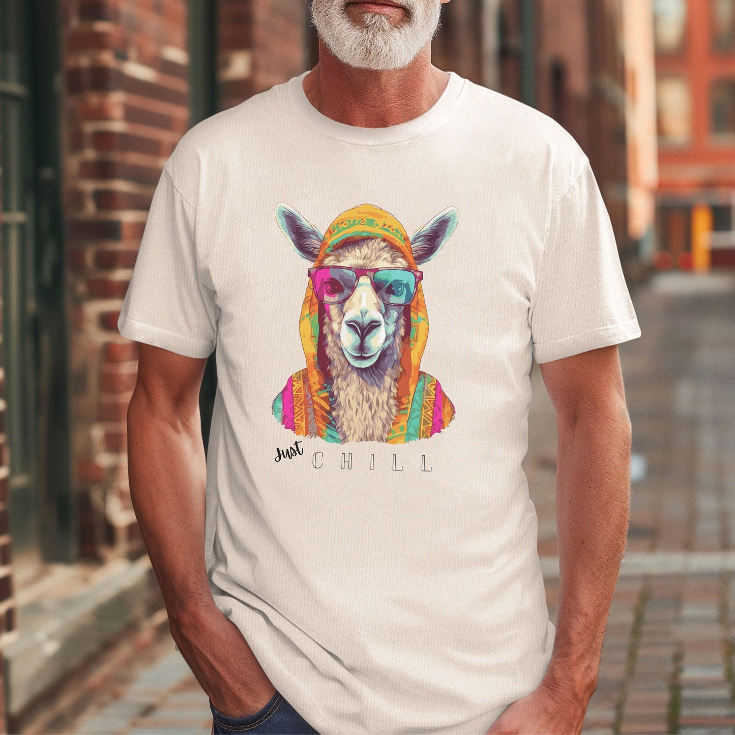 Llama drama t-shirt, funny graphic tee, funny gift, humorous tee-shirt, summer activewear, party shirt,